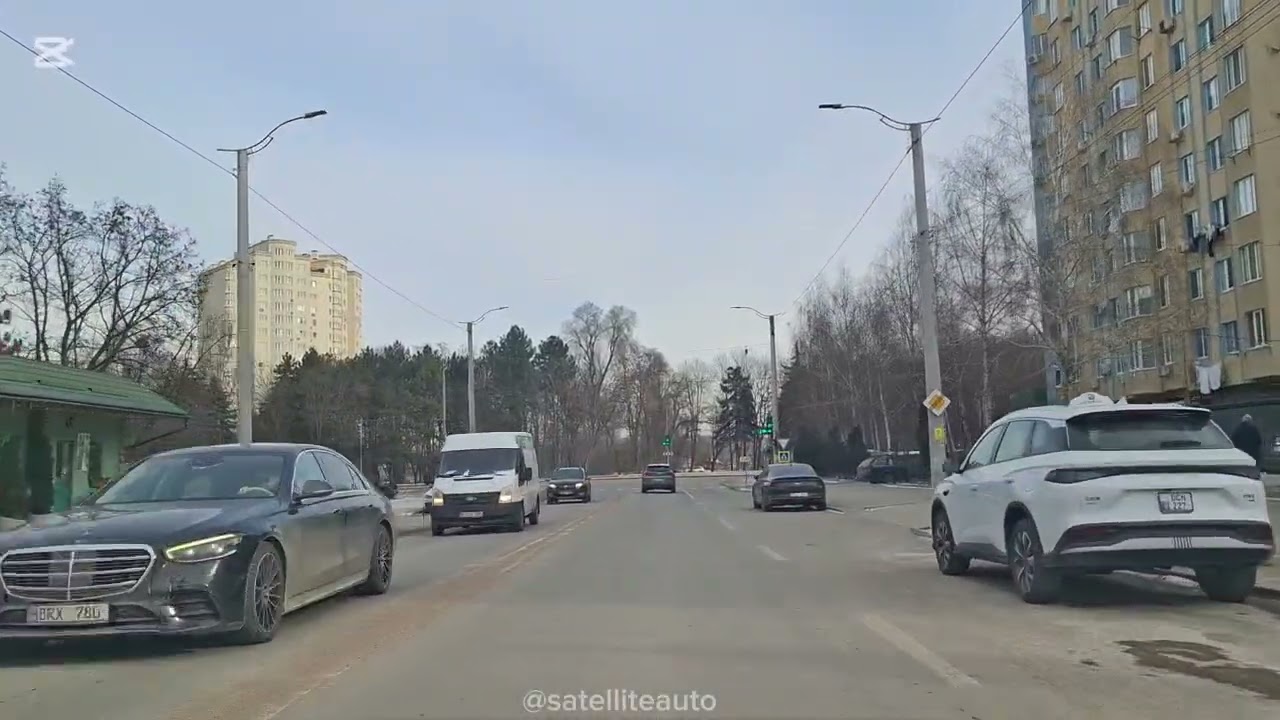 Ботаника: универсальные правила и уверенное вождение. Эпизод 1. #Кишинев.