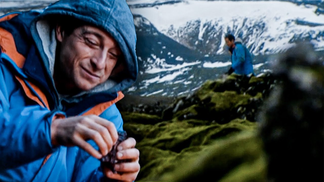 Bear atrapa comida usando trampas vikingas | A Prueba de Todo | Discovery Latinoam&eacute;rica