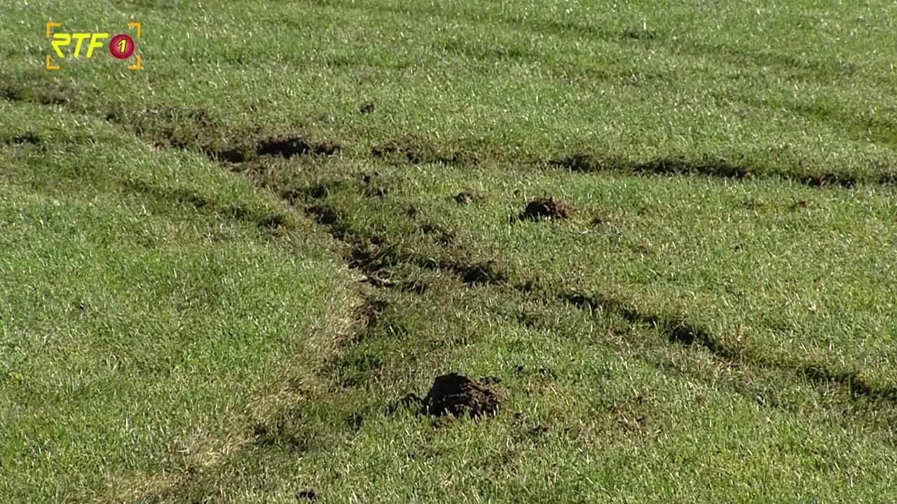 Vandalismus durch Fahrzeug auf Sportplatz in M&ouml;ssingen