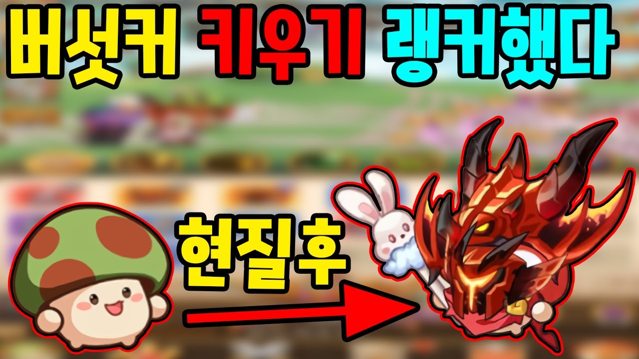 대체 버섯커 키우기가 뭐길래...