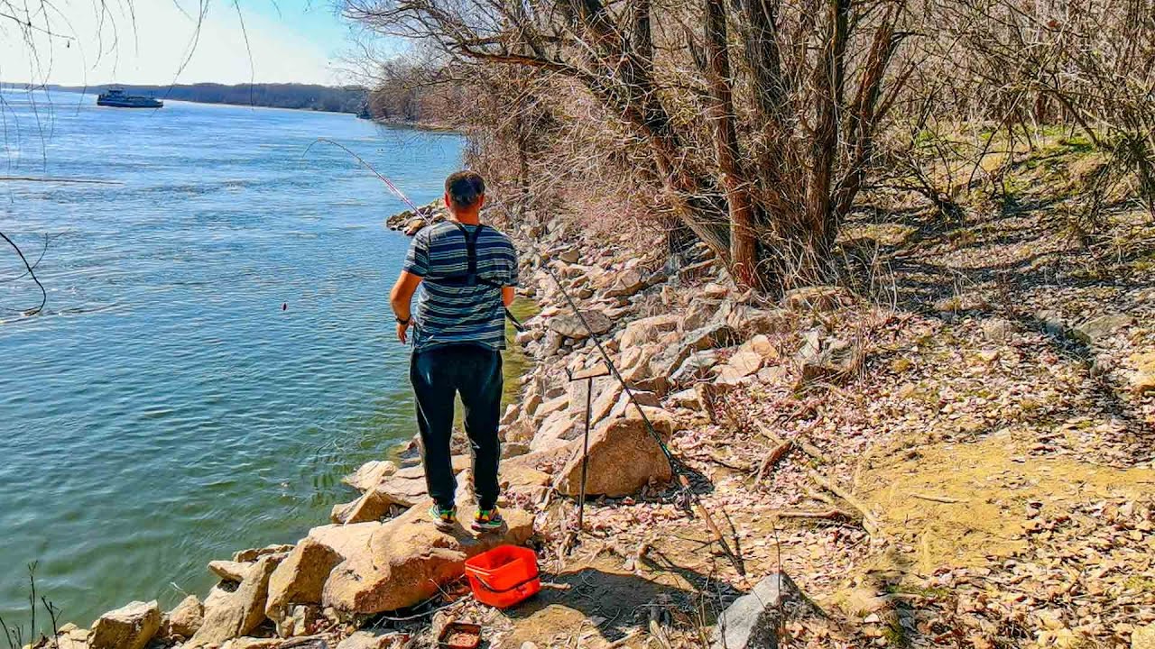 Pescuit pe Dunare . Prima partida a primaverii pe Dunare!