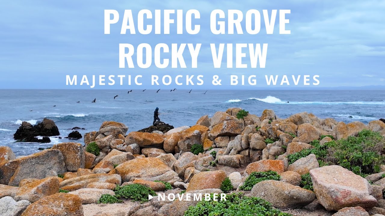 [4K] Pacific Grove Rocky View – A Walk along the Majestic Shoreline with Stunning Coastal Beauty