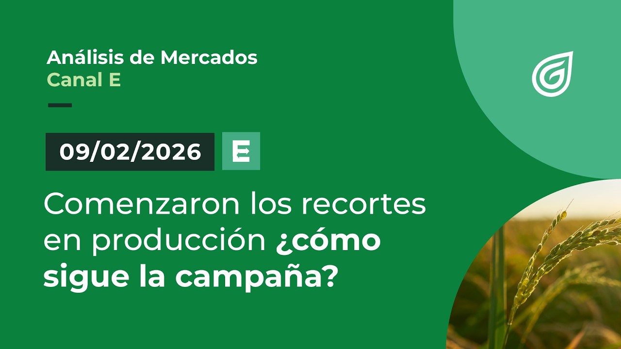 Comenzaron los recortes en producción ¿cómo sigue la campaña?