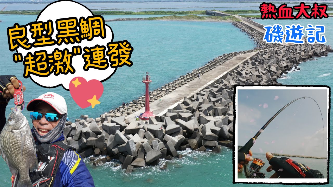 良型黑鯛