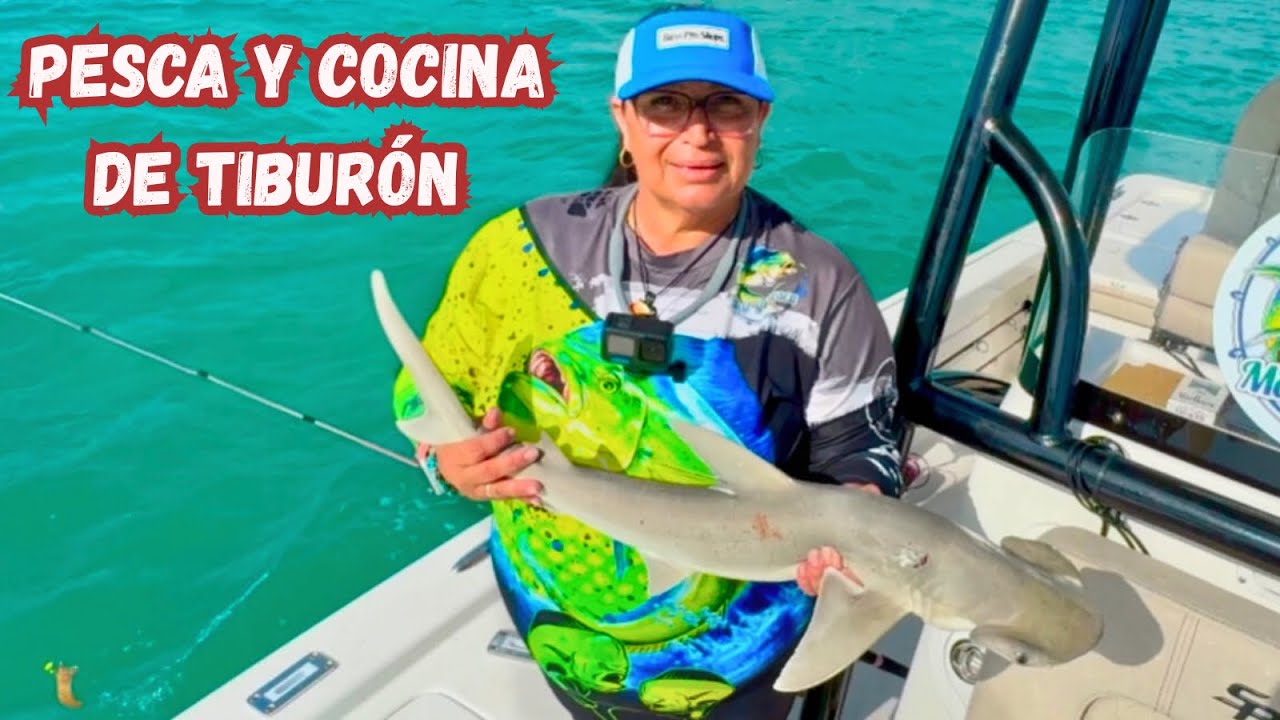 PESCA Y COCINA DE TIBURÓN