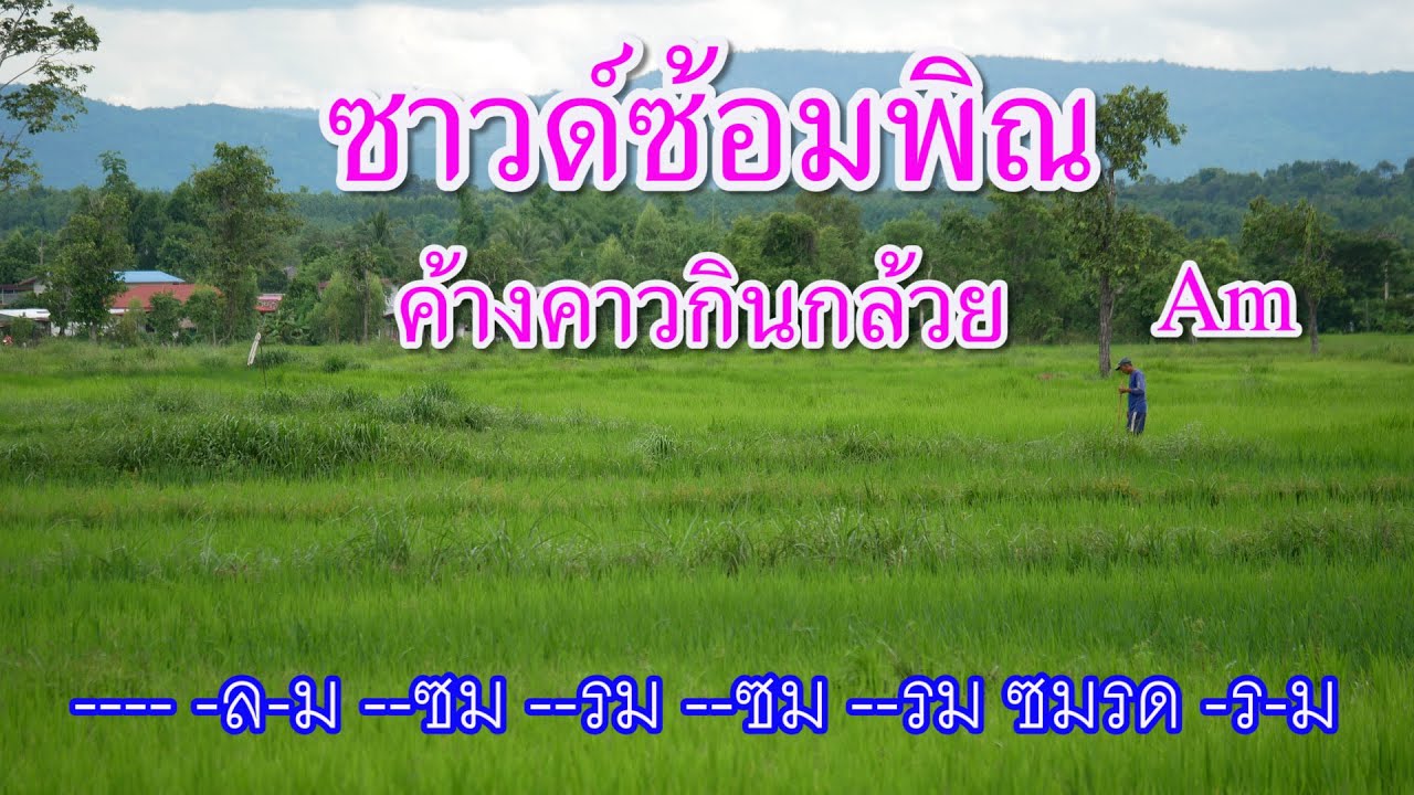 ซาวด์ซ้อมพิณค้างคาวกินกล้วย