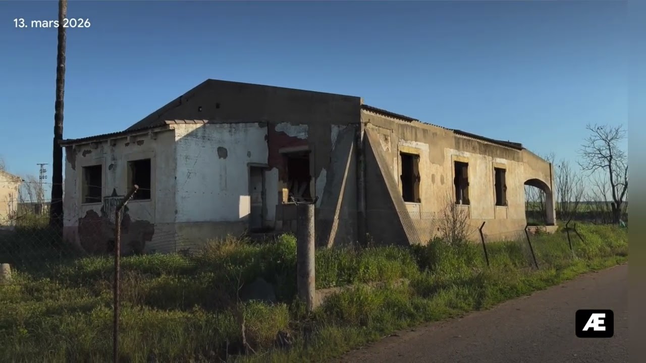 Arilds fotoblogg 15/3-2026