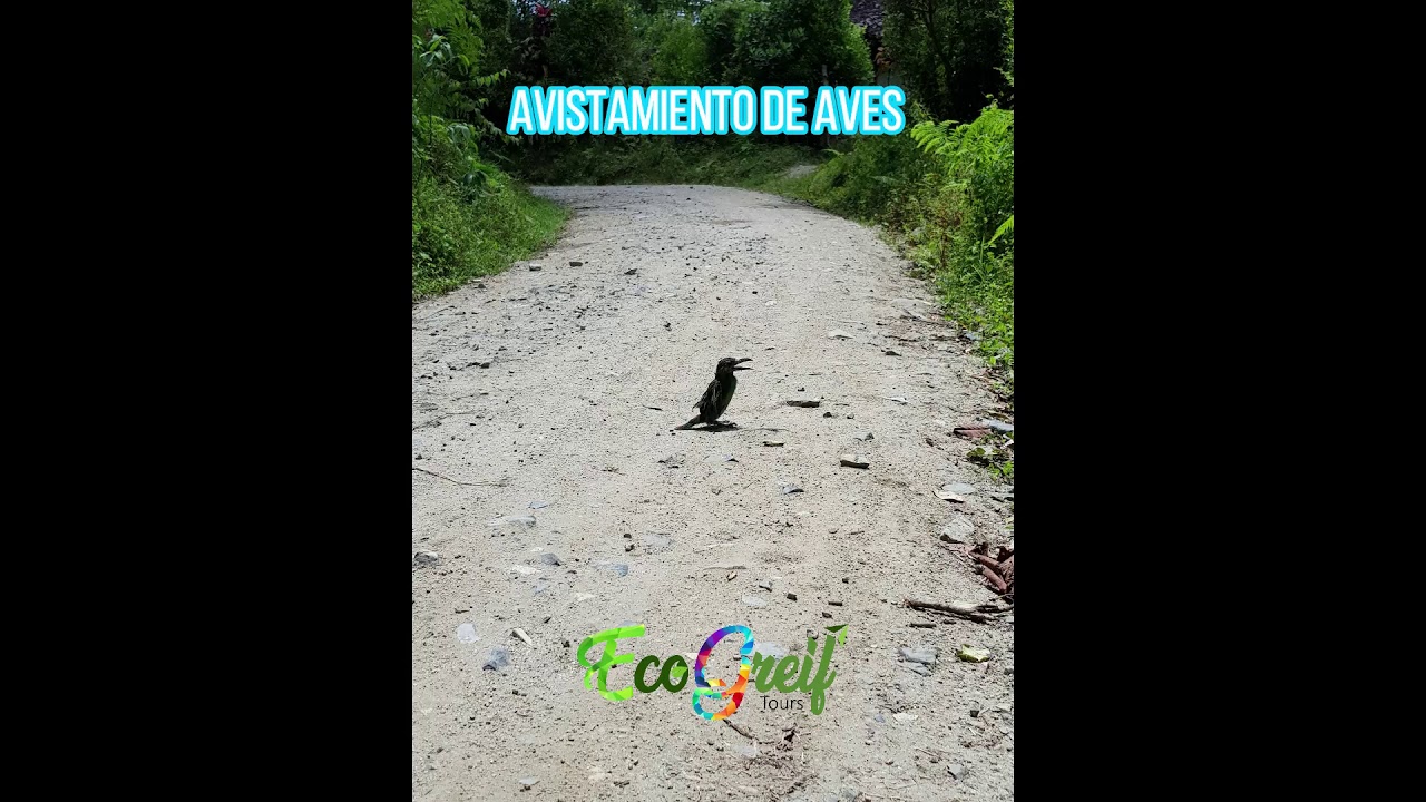 Buenos Aires - San Pedro Valle Colombia.