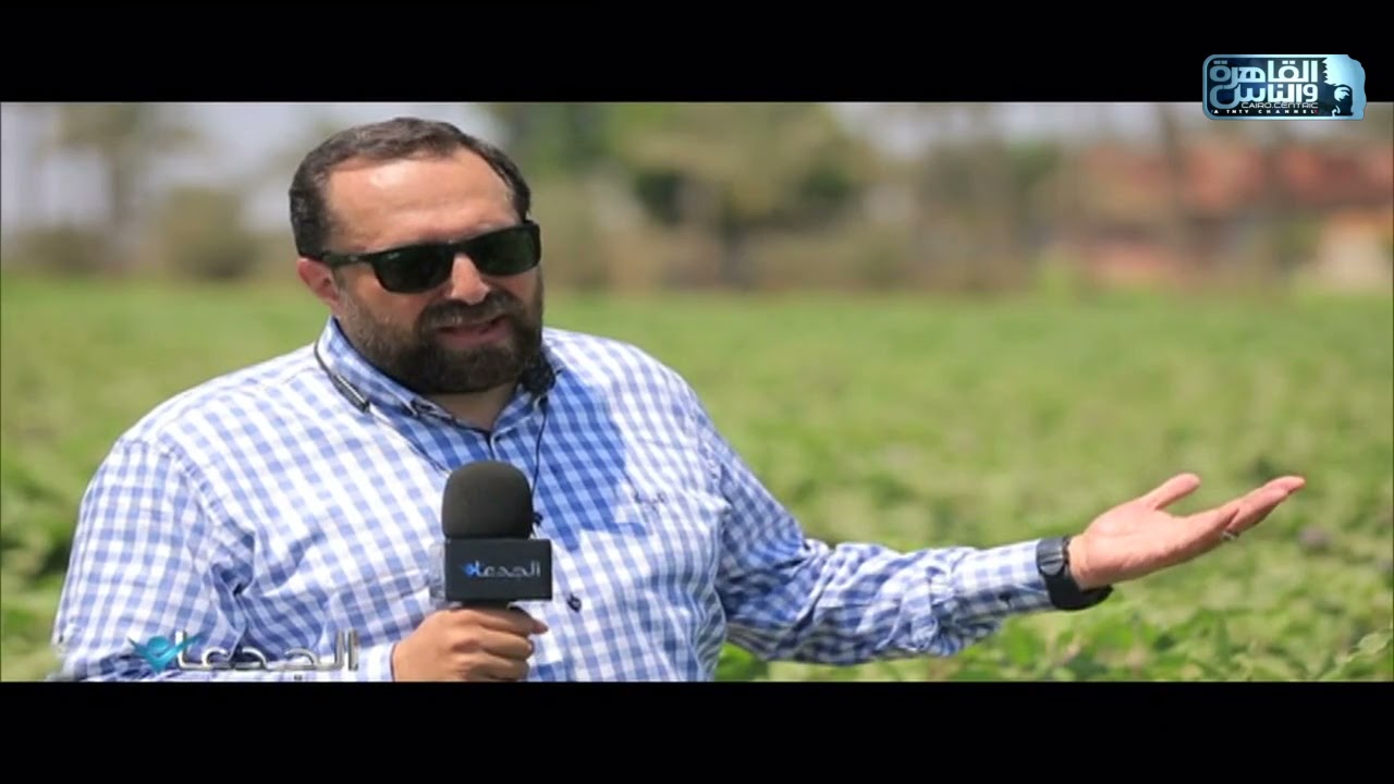 د.محمد فتحي سالم: حريصون على رفع العائد المادي للفلاح من رزاعة الباذنجان