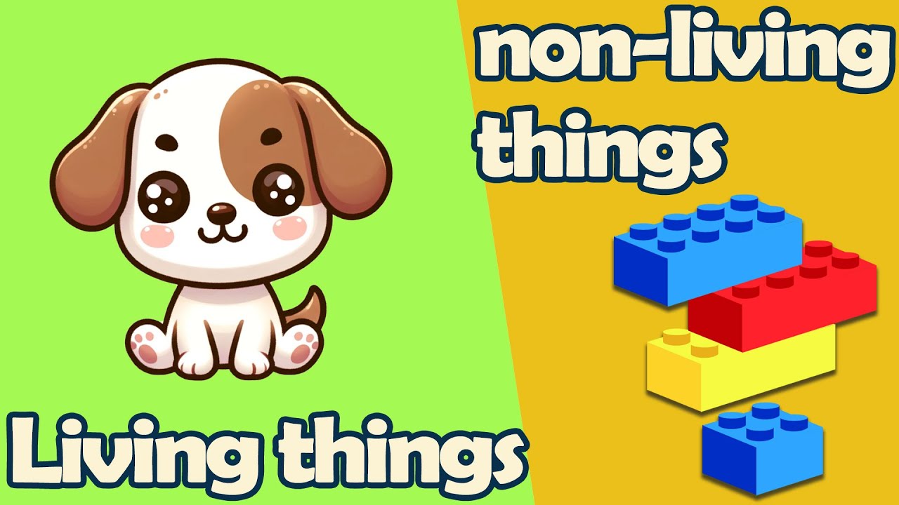 The Surprising English Test That Teaches Kids About Living and Non-Living Things