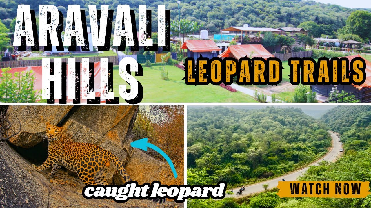Aravali biodiversity park gurgaon/ aravali hills gurgaon/ leisure valley park gurgaon/ hill stations