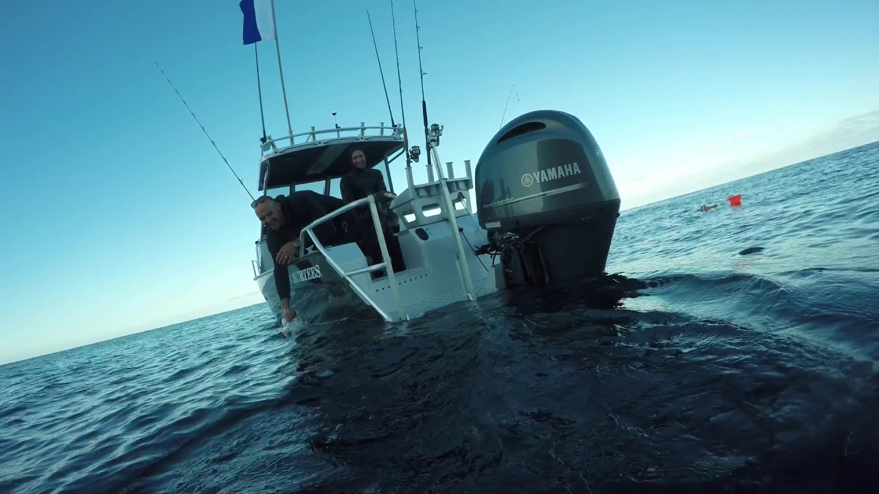 Channel Island Spearo & Gathering Mission
