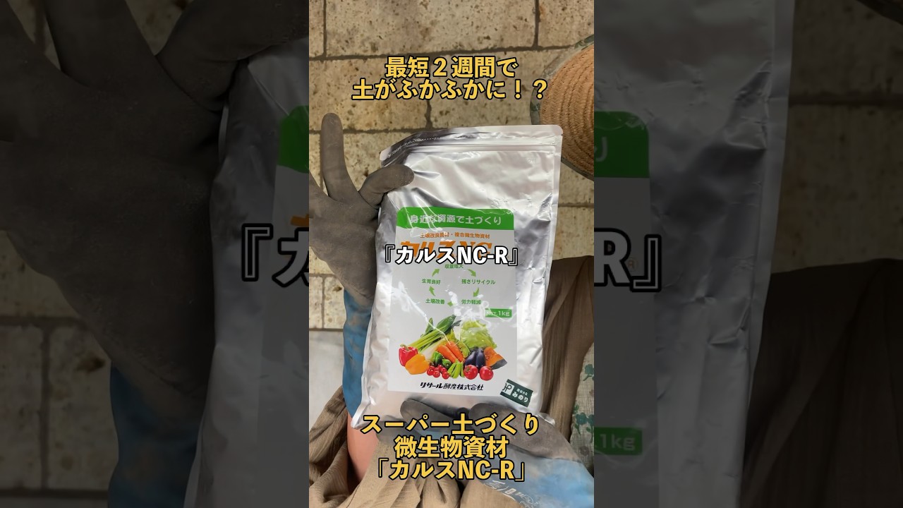 【土がふかふかに！微生物資材の使い方】カルスNC-Rを使って土づくり🧑&zwj;🌾米ぬかをいれて微生物の動きに爆発力を💥#菌ちゃん農法 #カルス #農業 #無農薬 #栃木 #リサール興産
