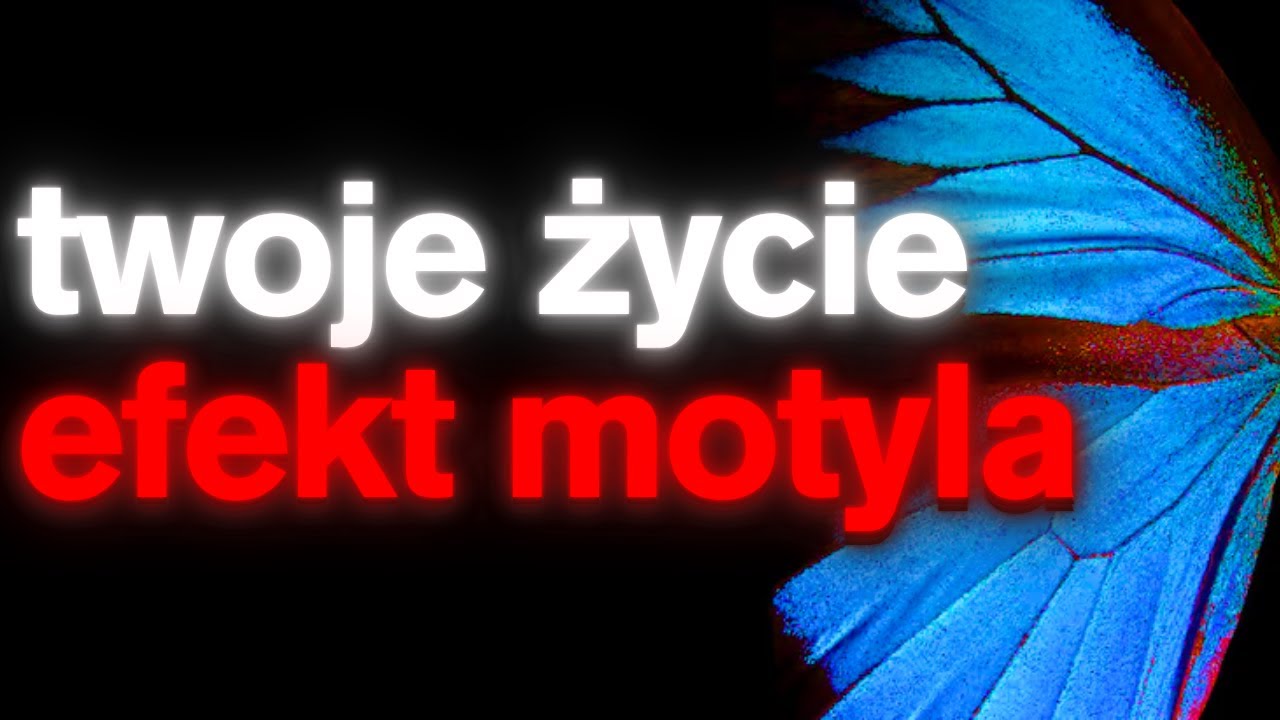 Ukryty porządek twojego życia - Efekt Motyla