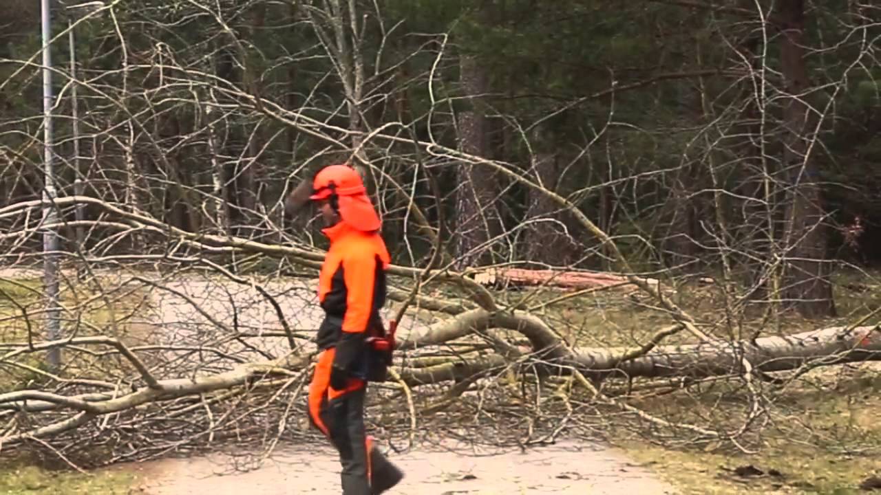 Hyggesfritt skogsbruk
