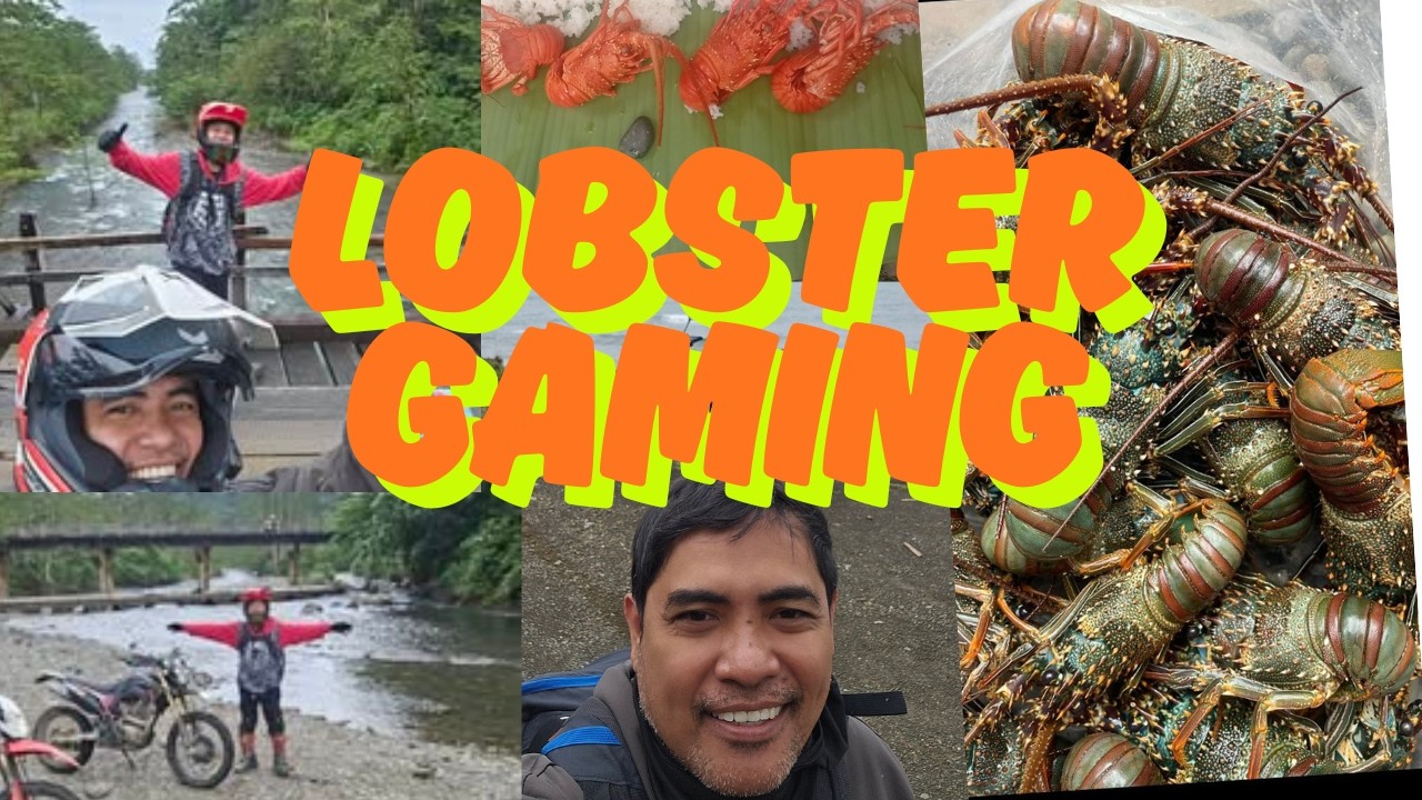 Lobster gaming dito sa Nakar