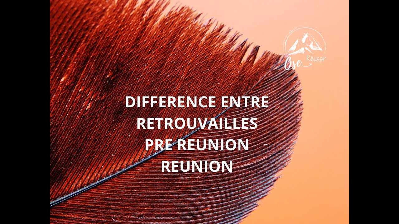 FJ : Différence entre Retrouvailles/ Pré réunion/ Réunion
