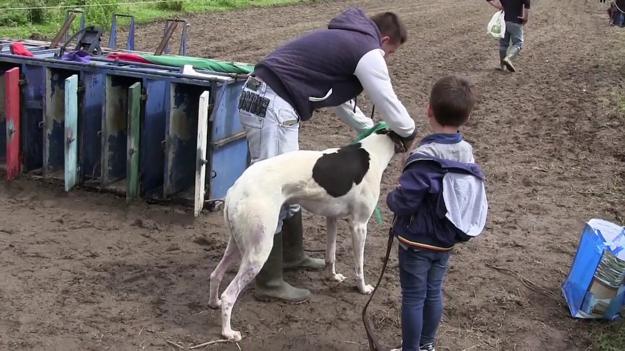 Corrida de Galgos Antoninas Famalicão 2018