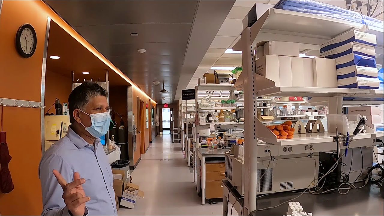 Virtual Lab Tour: Neuroscience with Dr. Mohanish Deshmukh at UNC-Chapel Hill