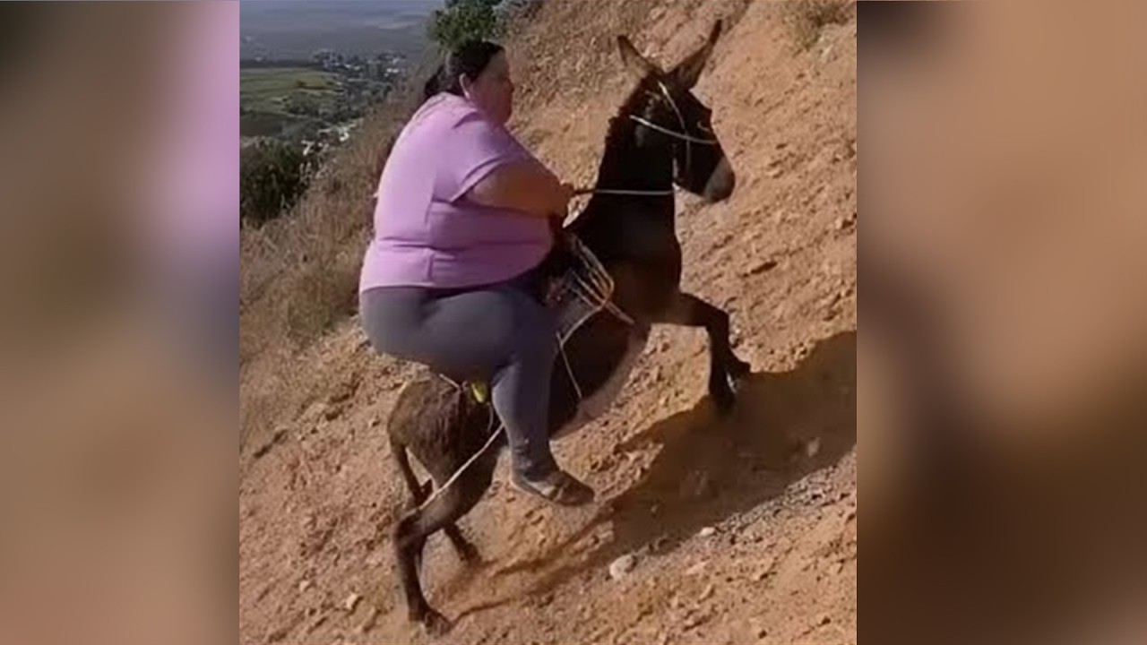 Funniest TikToks Compilation #30