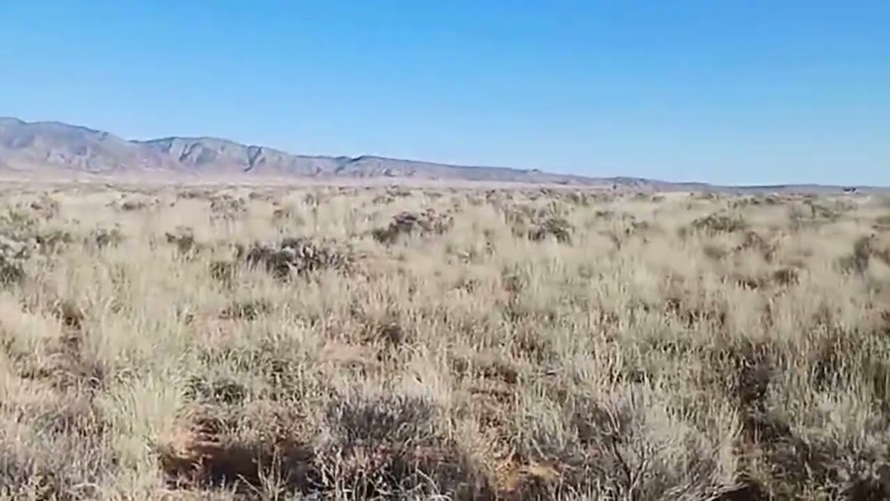 8.42-Acre Tierra Grande Property
