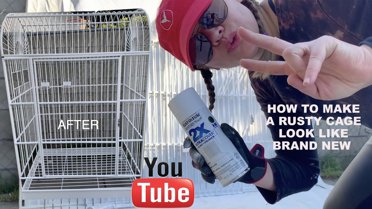 I AM REMODELING GLORY'S OLD RUSTY PARROT CAGE WITH STRAY PAINT! *old to new*