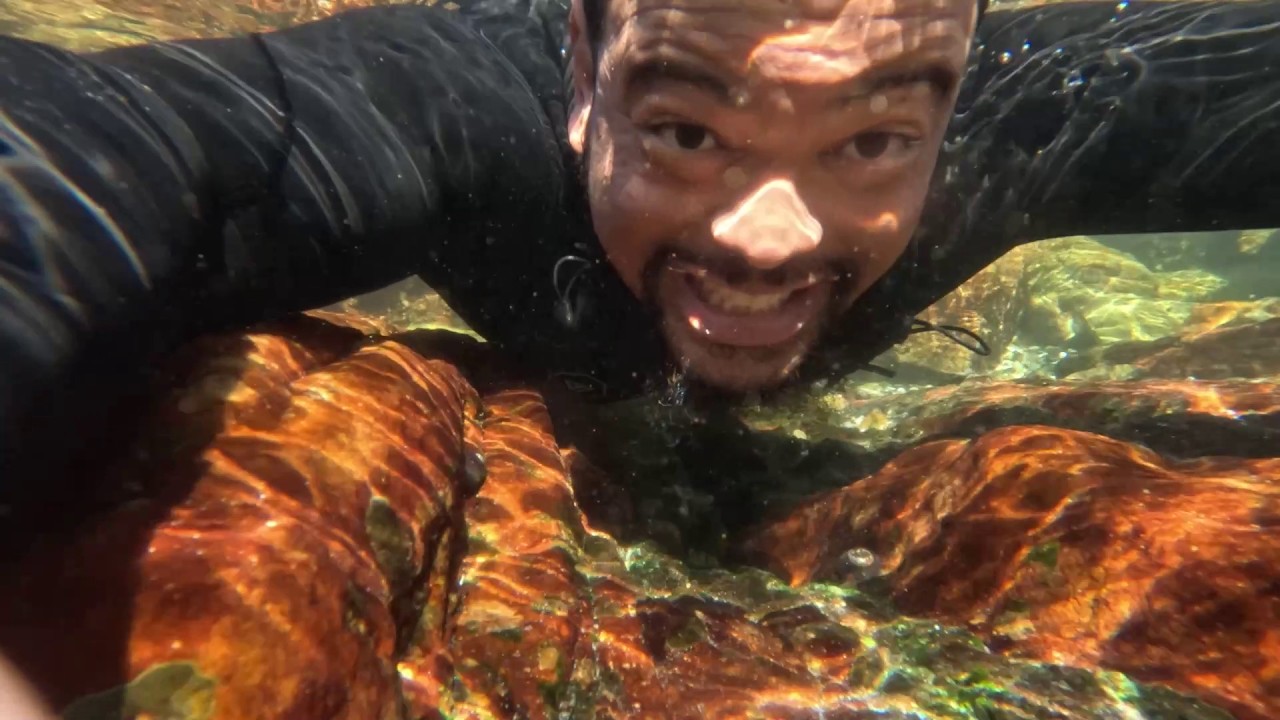 Solo Dive | Spearfishing | Simons Town | Cape Town | South Africa