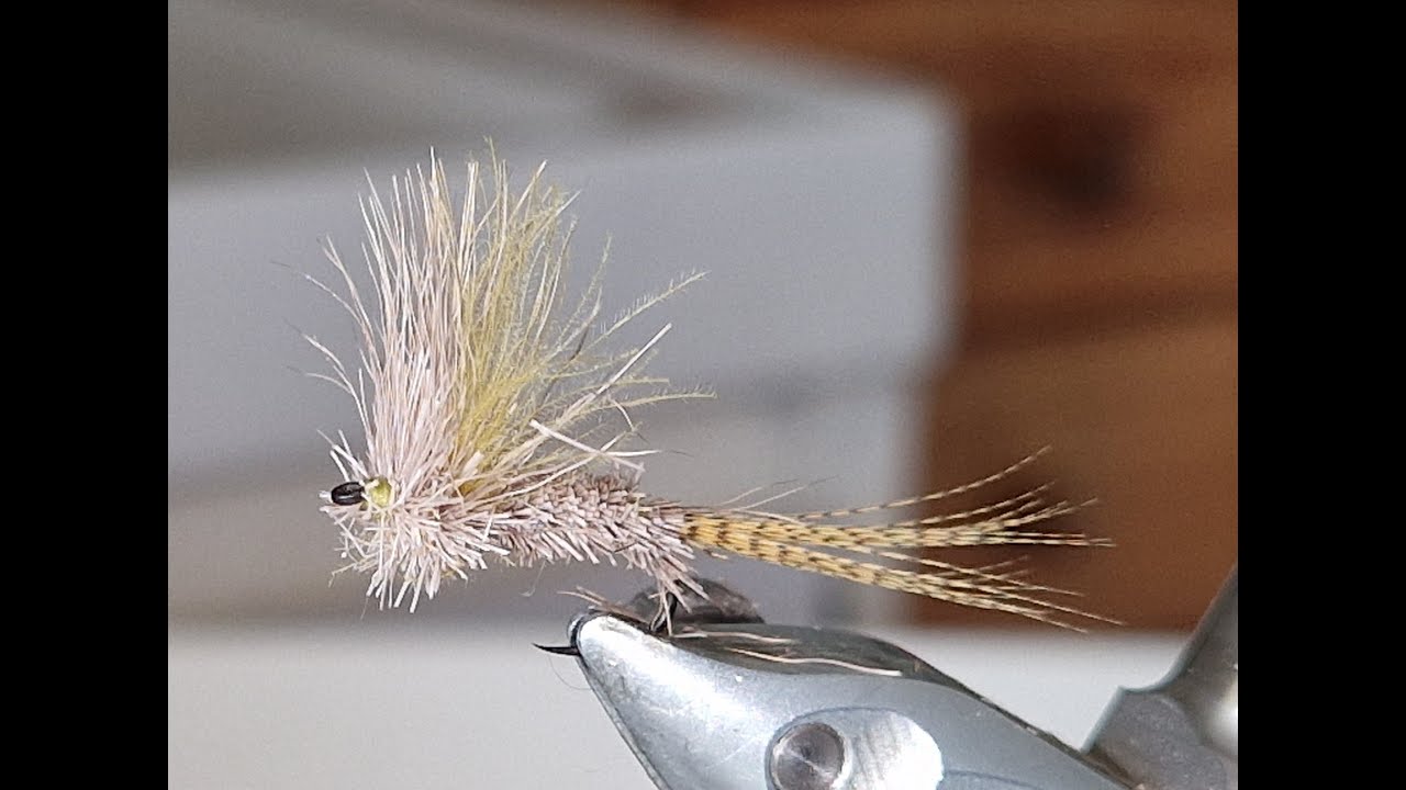 mouche de mai chevreuil
