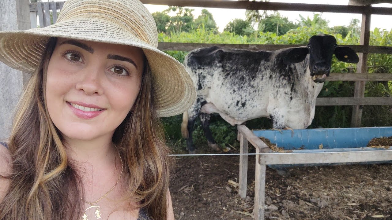 COMO AUMENTAR O LEITE DAS VACAS!