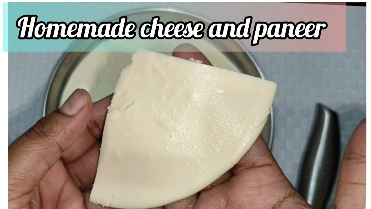 Homemade cheese and paneer | Easy recipe | No preservatives.