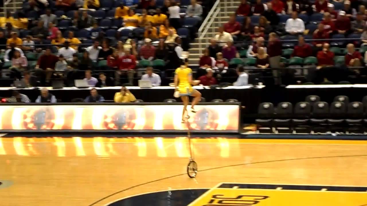 Red Panda the Chinese acrobat