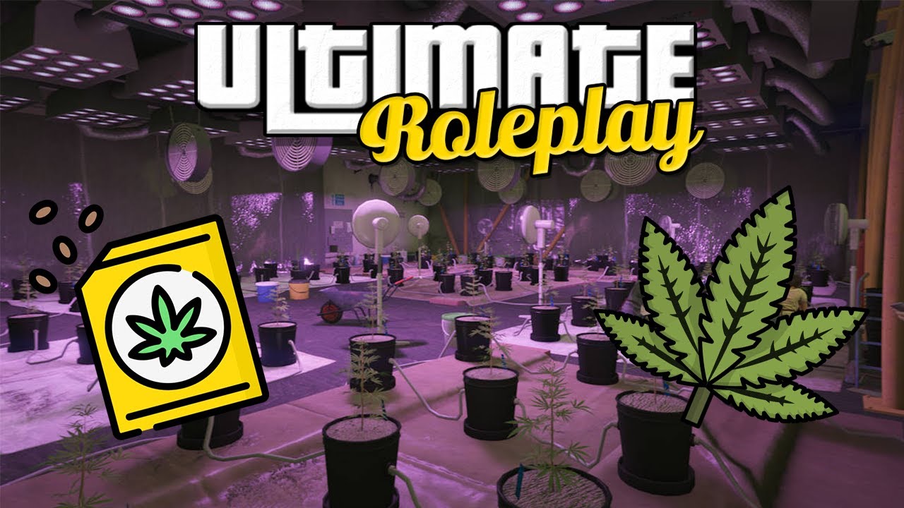 How To Grow Weed In GTA 5 RP | Ultimate Roleplay #gtarp #gtagang #gtaroleplay #gtadrugwars