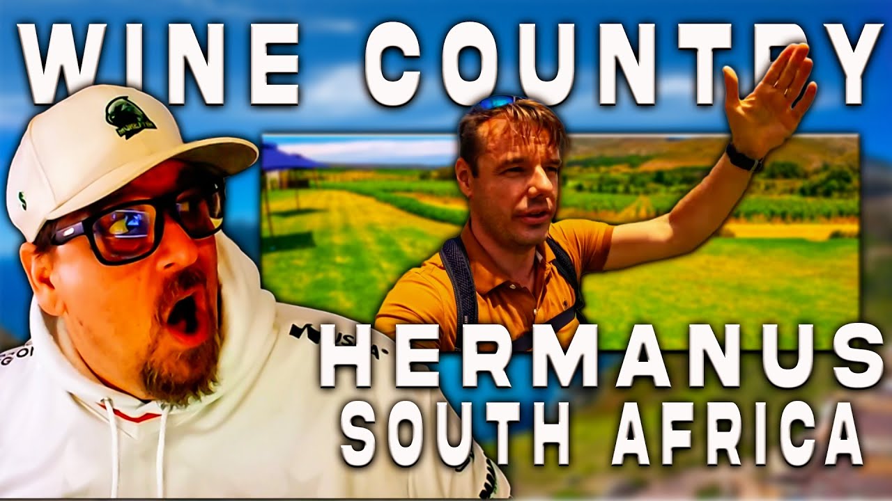 High Culture in Hermanus South Africa | American Reacts to SA