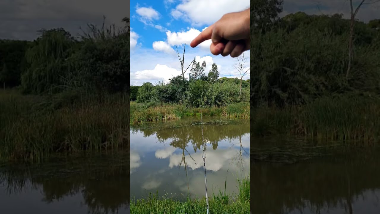 3rd live stream 🟢 Highlights in the description, Fishing & Handline fishing 🐟 @showusoutdoors 
