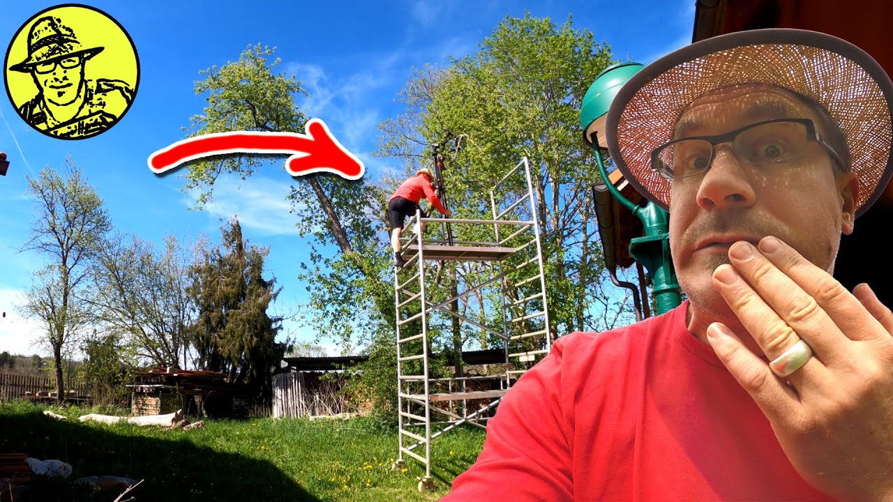 So gefährlich leben Youtuber! Gewächshaus im Mai / Cola anpflanzen / Hühner füttern