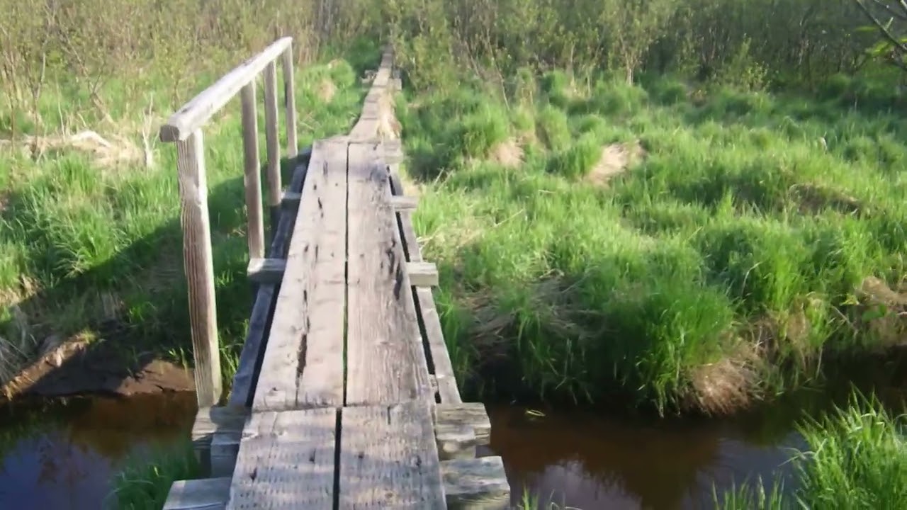 Daisy Loop Beginners Hike, June 2023