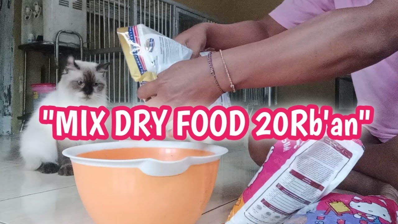 MIX MAKANAN KUCING 20RB PART 2
