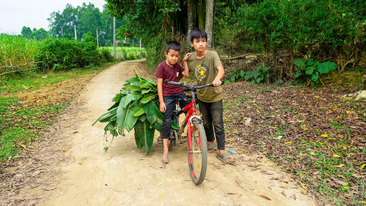 Orphan Boy Helps a Starving Child He Finds While Collecting Banana Stalks for Livestock