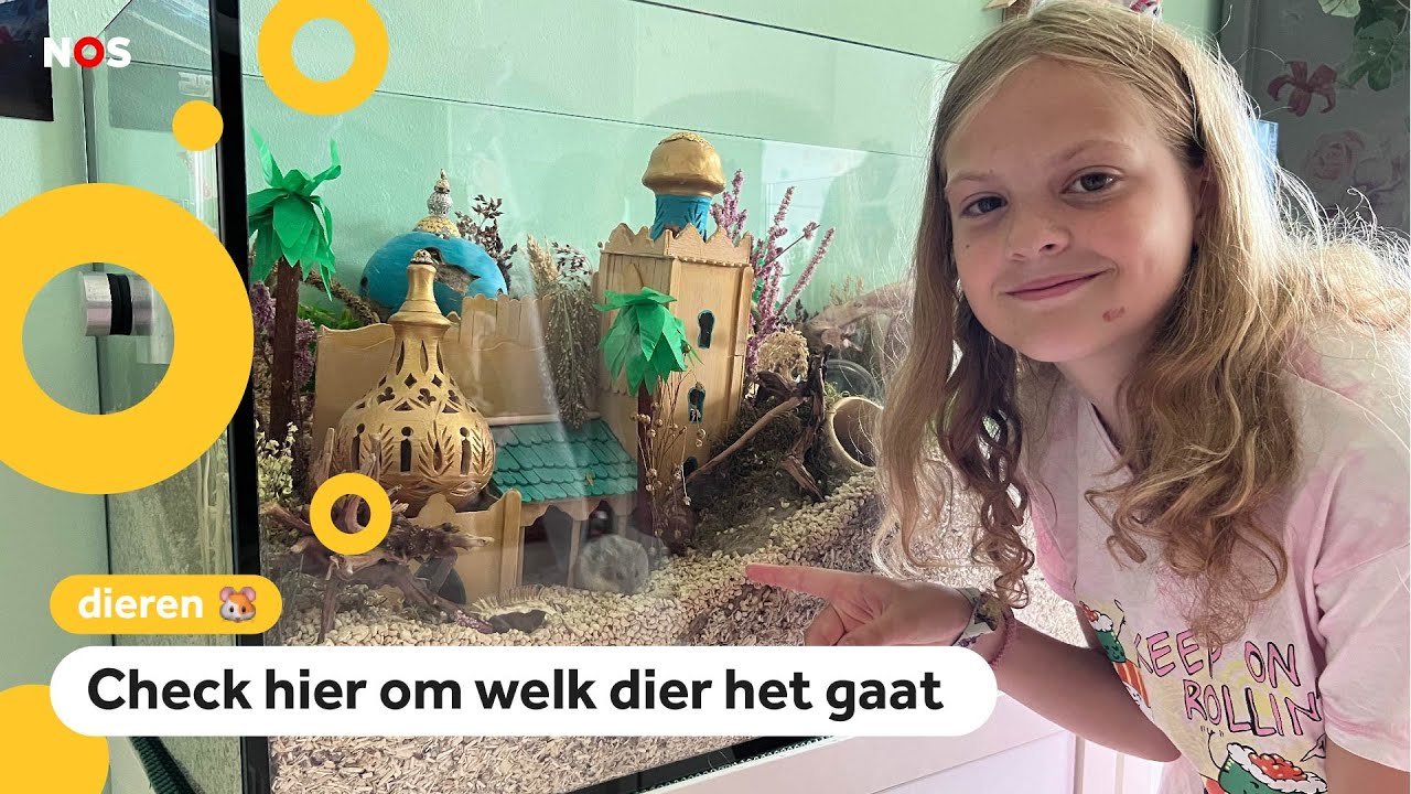 Huisdier van Jade is vanaf vandaag verboden