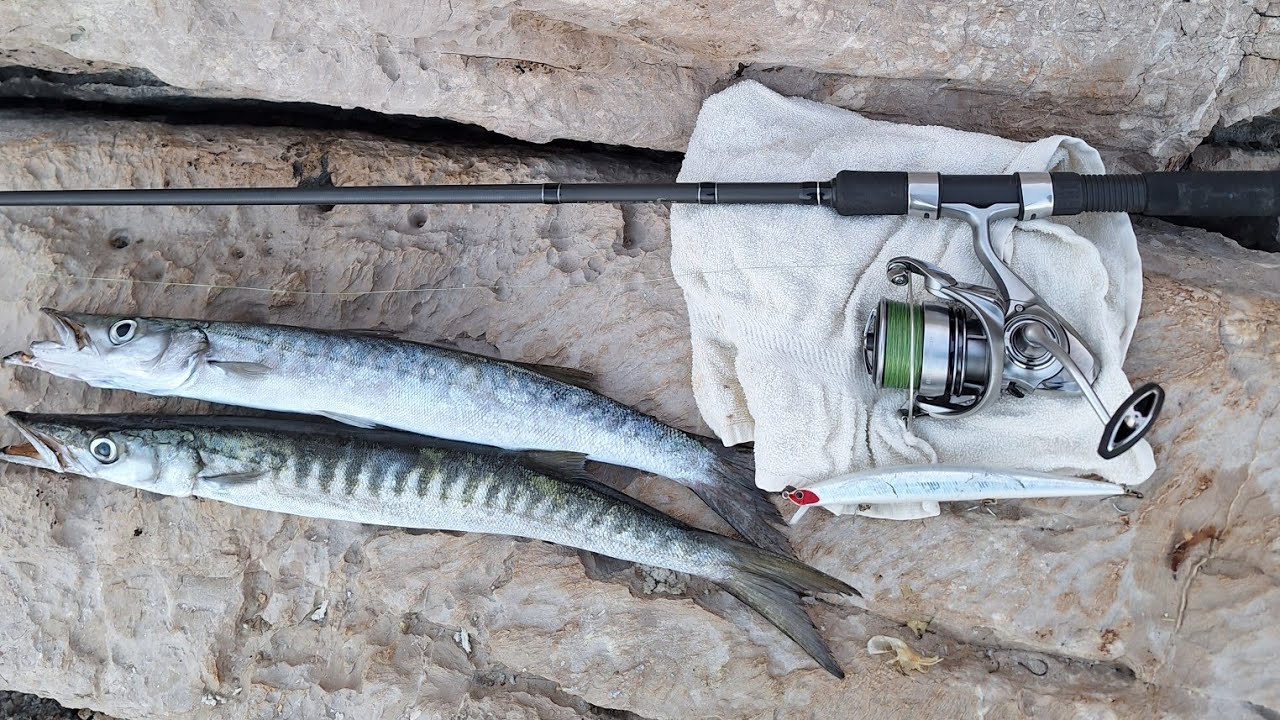 Spin sa stijena u svijetanje! Bar,Montenegro #fishing #barracuda