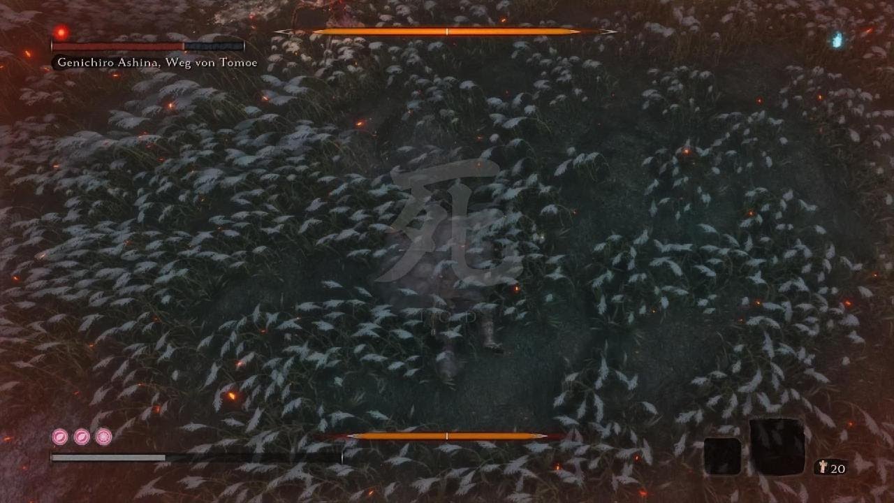 Sekiro Isshin, the Sword Saint (Only with the Sword)