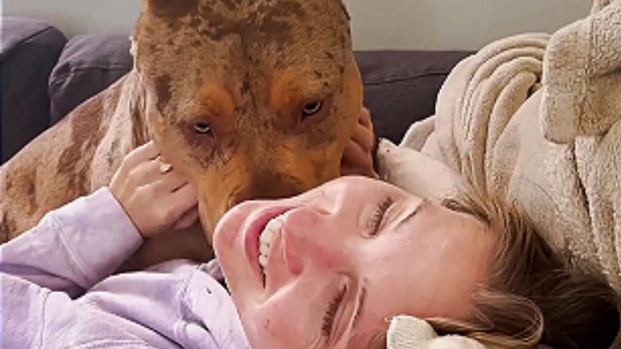 Nervous Rescue Pup  serquoia Weighed Nothing But Became Everything To Her