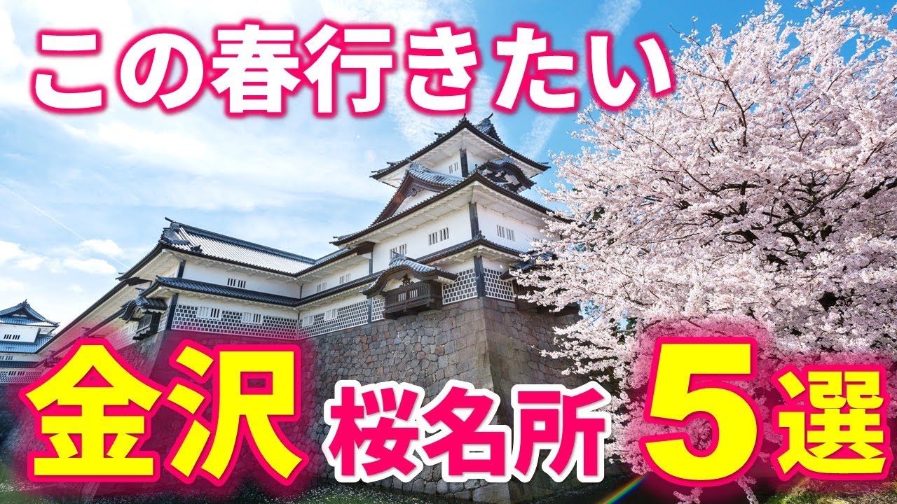 【金沢観光】絶対に行っておきたい桜の名所 - 金沢の絶景お花見スポット