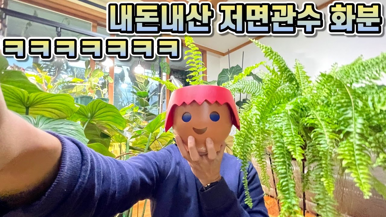 🌱화분을 샀는데... 집어던질뻔... 전 허당입니다 ㅋㅋ 내돈내산 저면관수 화분 리뷰 대환장파티!!