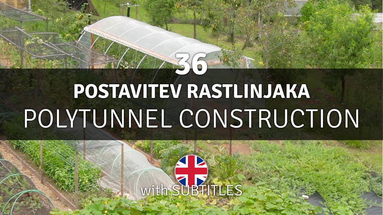 Postavitev rastlinjaka in njegovih 5 posebnosti - Vrt Obilja EP36