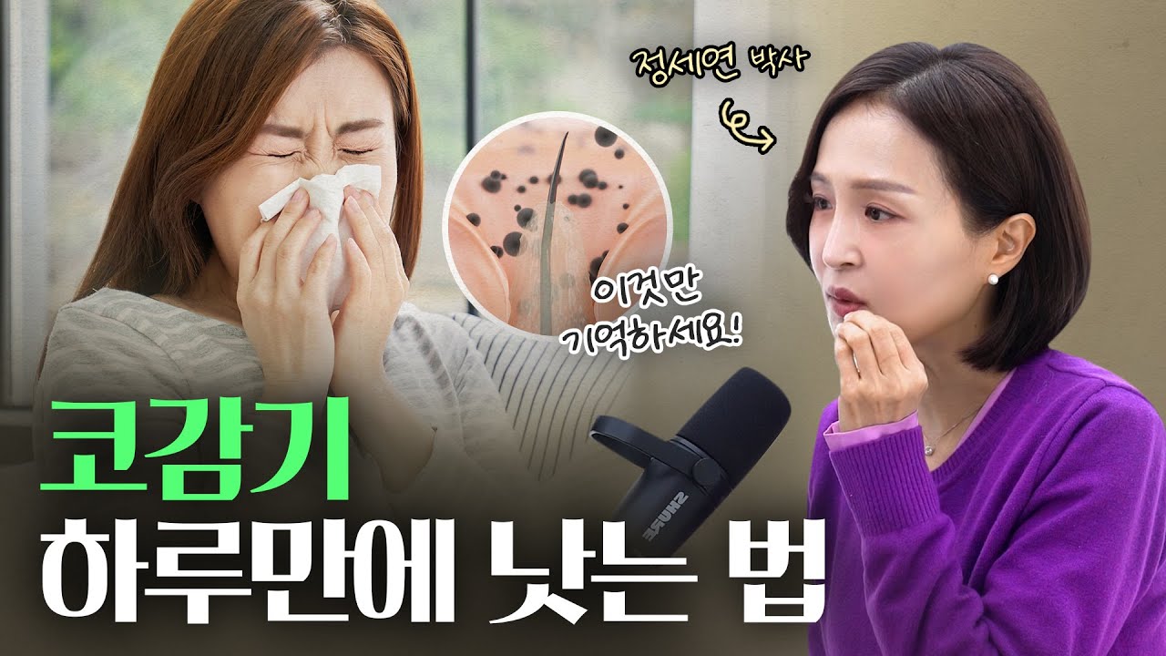 코감기 하루만에 낫는 법. 감기 빨리 낫는 법 1탄 | 정세연의 라이프연구소