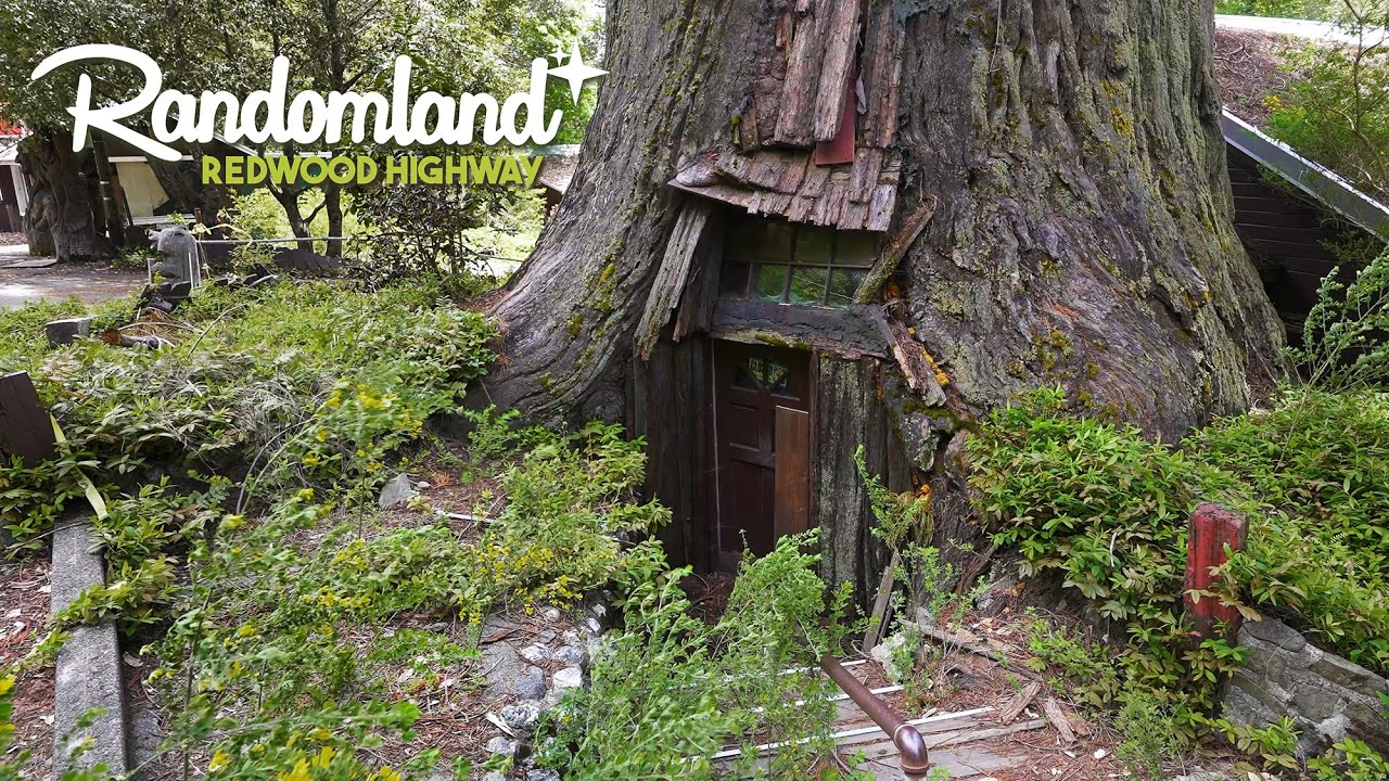 Has this World-Famous Attraction been Abandoned? The Redwood Highway US-101