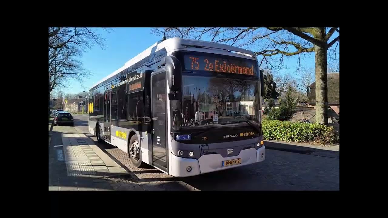 Treinen & Bussen maandoverzicht 2025 Maart