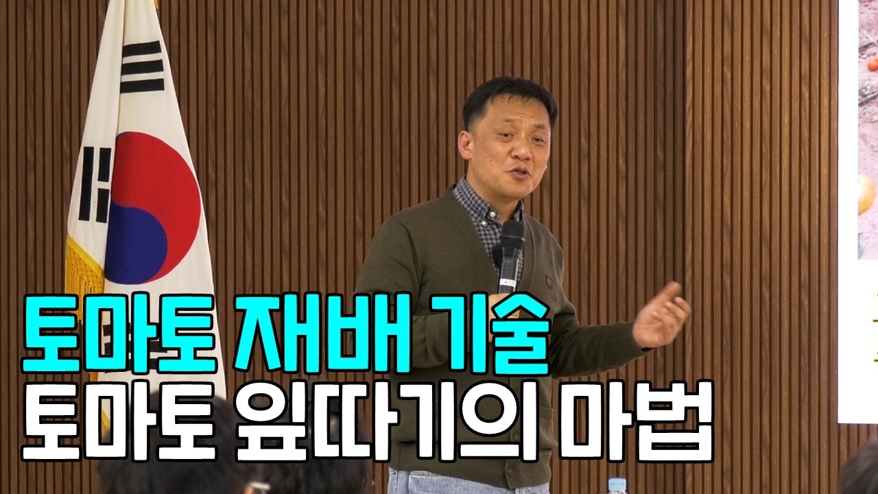 토마토 재배 기술 토마토 잎따기의 마법