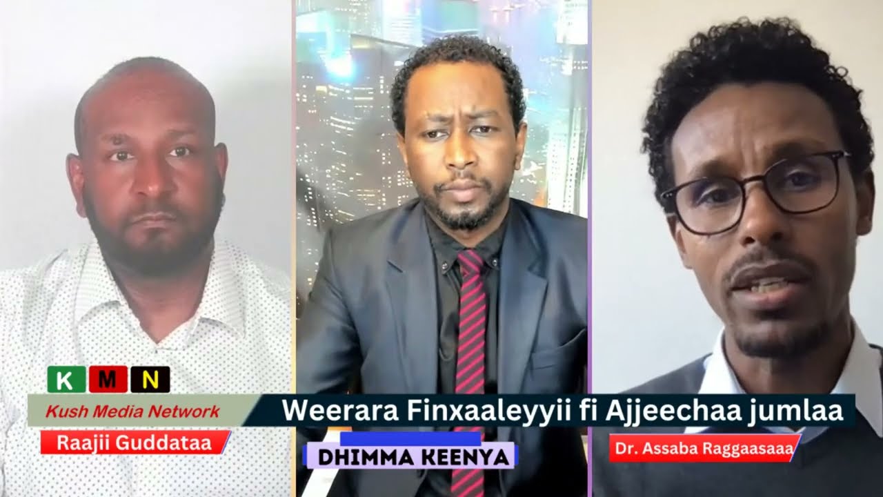 Weerara Finxaaleyyii fi Ajjeechaa jumlaa